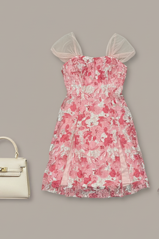 Fairycore Mesh Mini Dress