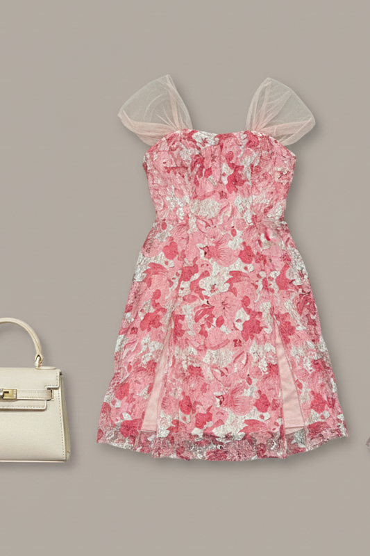 Fairycore Mesh Mini Dress