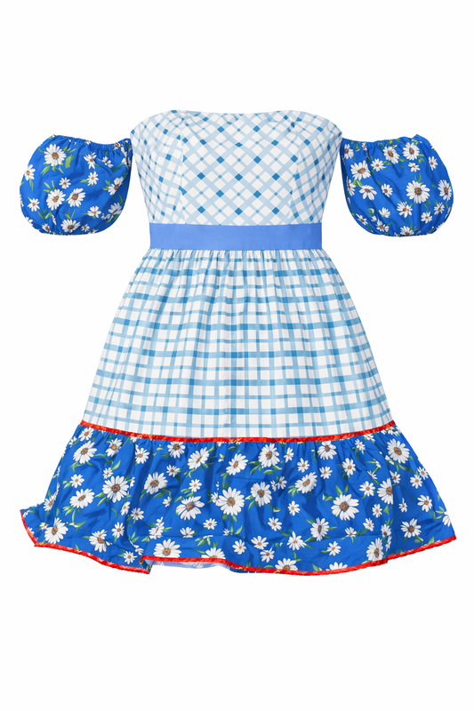 Blueberry Picnic Dress