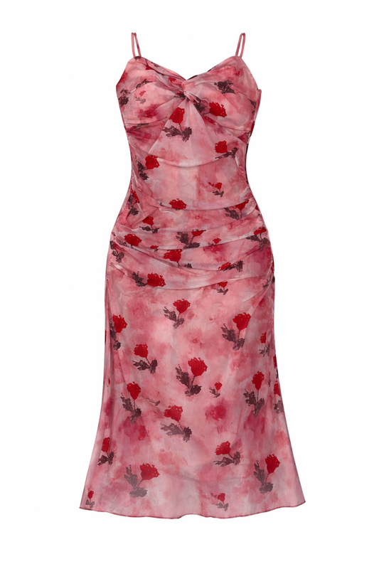 Rosewater Ruche Dress