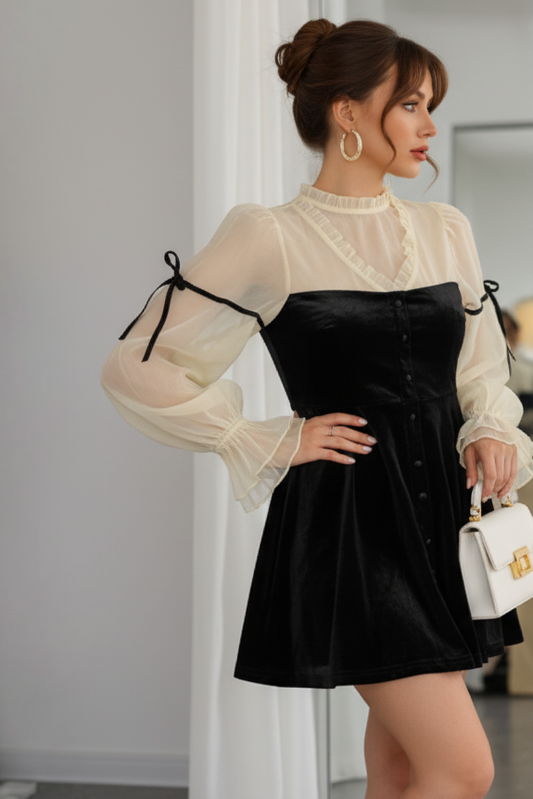 Velvet Organza Contrast Mini Dress